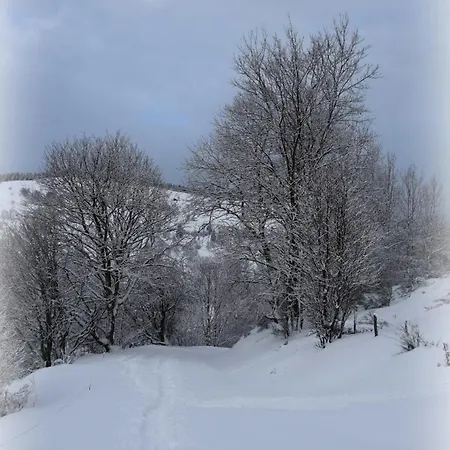Dağ evi Maison De Style Individuelle Le Rouge Feigne A La Bresse