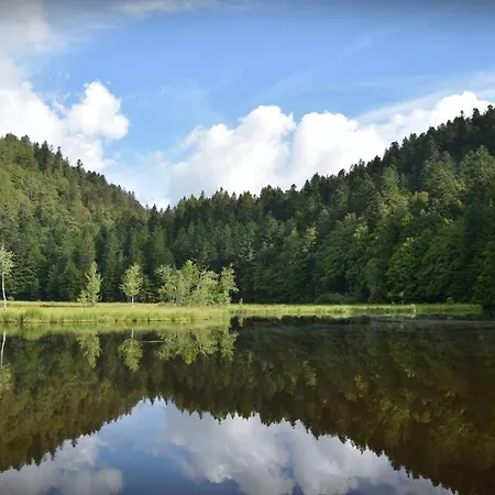 Dağ evi Maison De Style Individuelle Le Rouge Feigne A