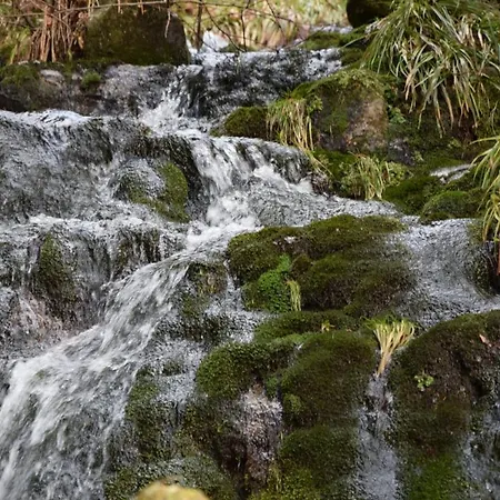Dağ evi Maison De Style Individuelle Le Rouge Feigne A *