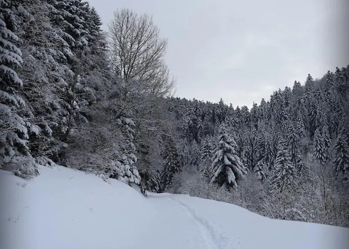 Maison De Style Individuelle Le Rouge Feigne A La Bresse
