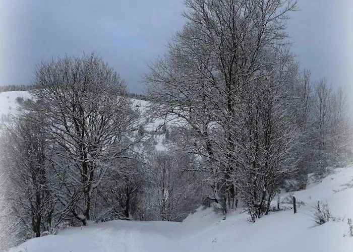 Horská chata Maison De Style Individuelle Le Rouge Feigne A La Bresse