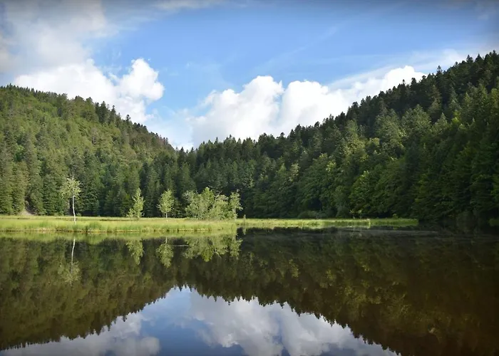 Chalet Maison De Style Individuelle Le Rouge Feigne A